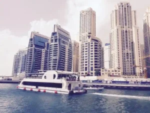 Marina Glass Dinner Cruise With Entertainment Shows - Image 3